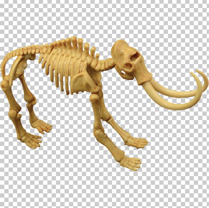 Velociraptor Fossil Dinosaur Mammoth Skeleton PNG, Clipart, Animal Figure, Carnivoran, Dinosaur, Educational Toys, Esqueleto Free PNG Download