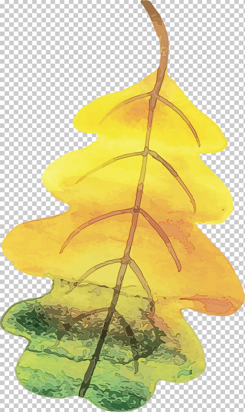Leaf Tree 2050 Plant Structure Biology PNG, Clipart, Biology, Colorful Leaf, Leaf, Paint, Plants Free PNG Download