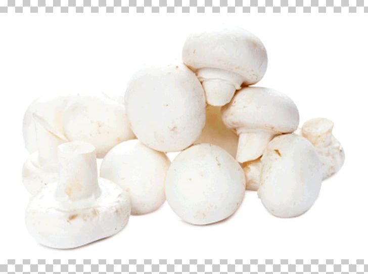 Common Mushroom Edible Mushroom Shiitake Kaolin Mushroom Farms PNG, Clipart, Agaricaceae, Agaricus, Botanical Name, Button, Common Mushroom Free PNG Download