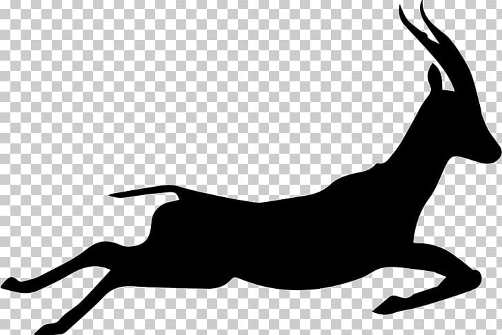 Gazelle Impala Silhouette Drawing PNG, Clipart, Animals, Antelope, Artwork, Black, Black And White Free PNG Download