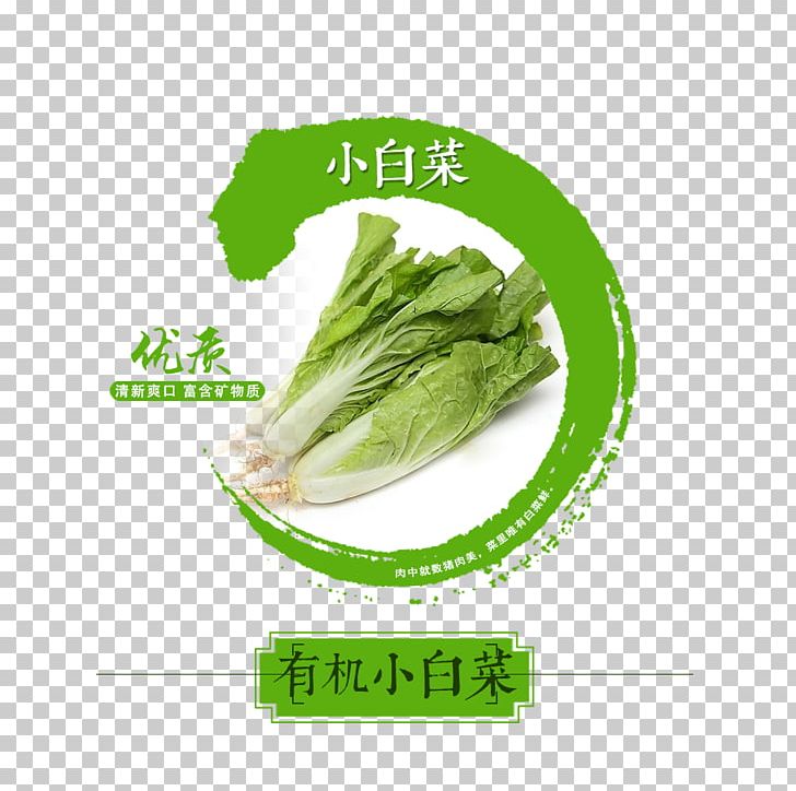 Organic Food Bok Choy PNG, Clipart, Bok Choy, Brand, Cabbage, Download, Encapsulated Postscript Free PNG Download