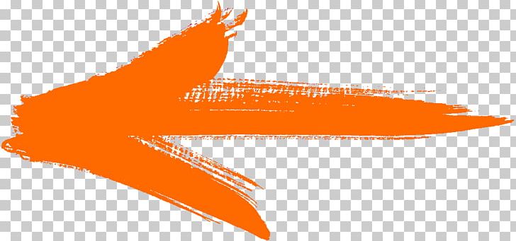 Sky Blue Arrow - Animated Orange Arrow Gif Transparent Background, HD Png  Download - 633x648 (#3389243) - PinPng