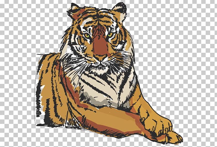 Tiger Graphics Illustration PNG, Clipart, Animals, Art, Big Cats, Carnivoran, Cat Like Mammal Free PNG Download