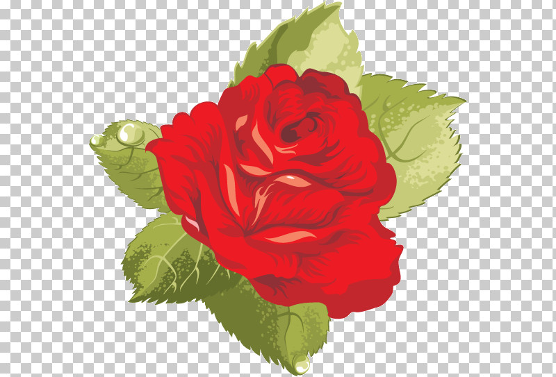 One Flower One Rose Valentines Day PNG, Clipart, Artificial Flower, Begonia, China Rose, Cut Flowers, Floribunda Free PNG Download