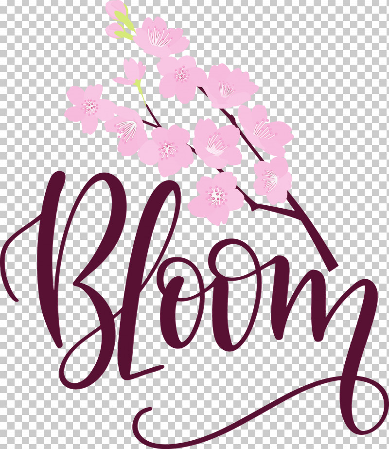 Floral Design PNG, Clipart, Bloom, Calligraphy, Cut Flowers, Data, Floral Design Free PNG Download