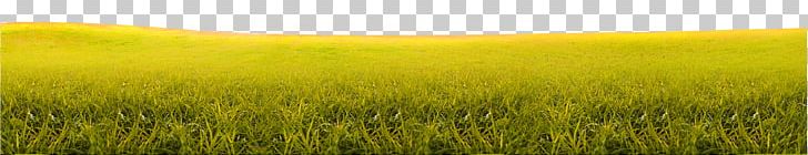Barley Harvest Grassland Sky Field PNG, Clipart, Agriculture, Background Green, Border, Border Texture, Commodity Free PNG Download