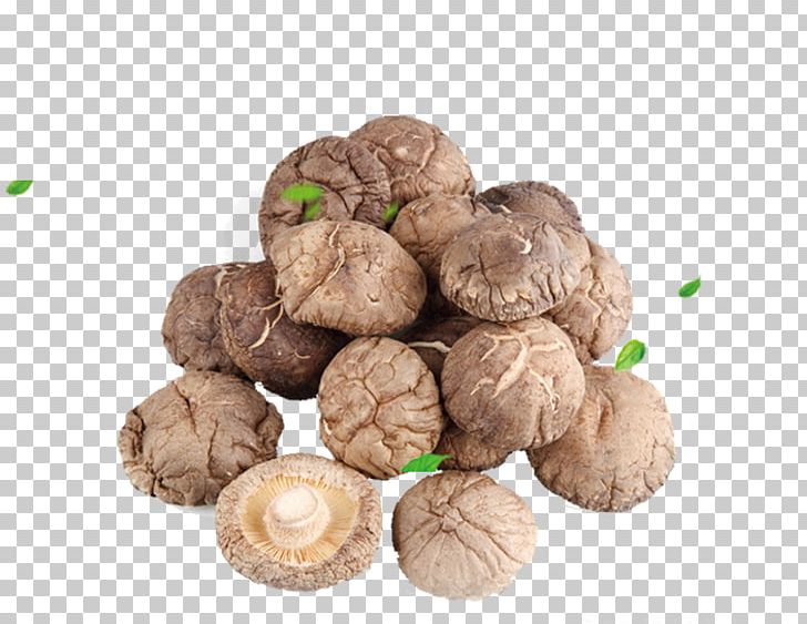 China Shiitake Oyster Mushroom Japanese Cuisine Food Drying PNG, Clipart, Cloud Ear Fungus, Common Mushroom, Edible Mushroom, Fall Leaves, Float Free PNG Download