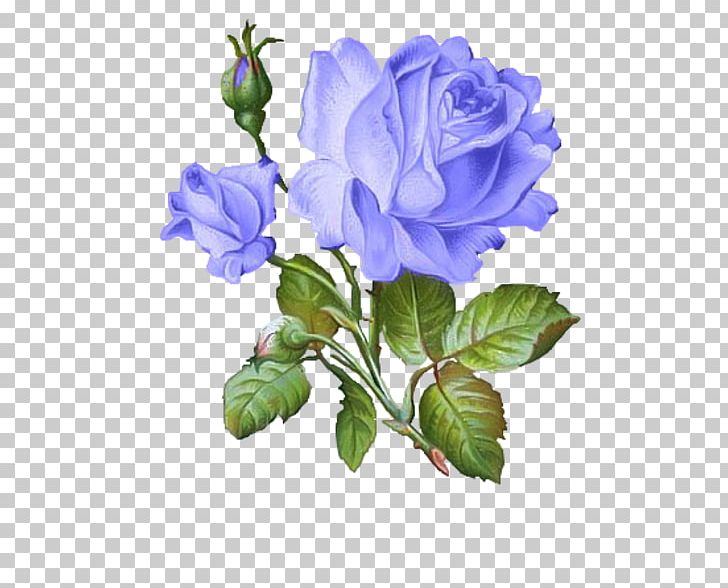 Drawing Decoupage Art Flower PNG, Clipart, Artificial Flower, Bellflower Family, Blue, Color, Cut Flowers Free PNG Download