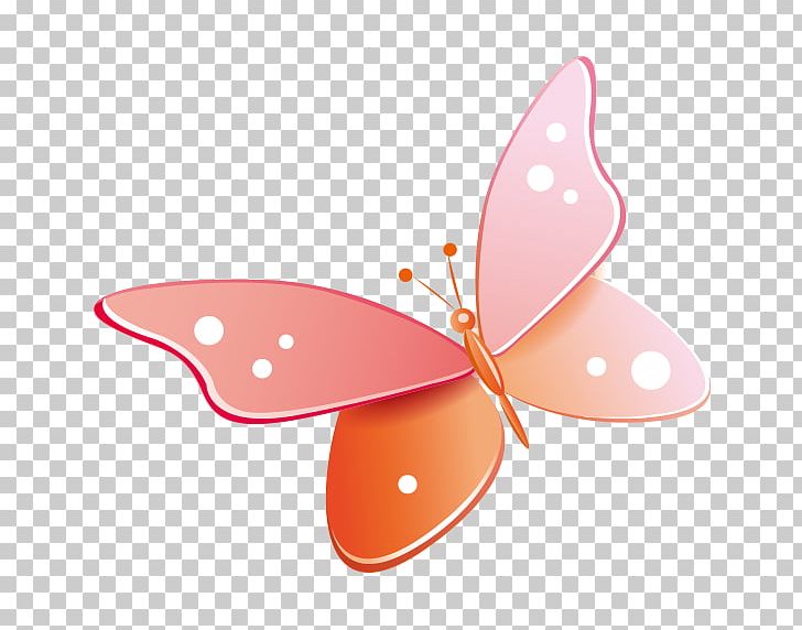 Butterfly Portable Network Graphics Borboleta PNG, Clipart, Borboleta, Butterflies And Moths, Butterfly, Desktop Wallpaper, Download Free PNG Download