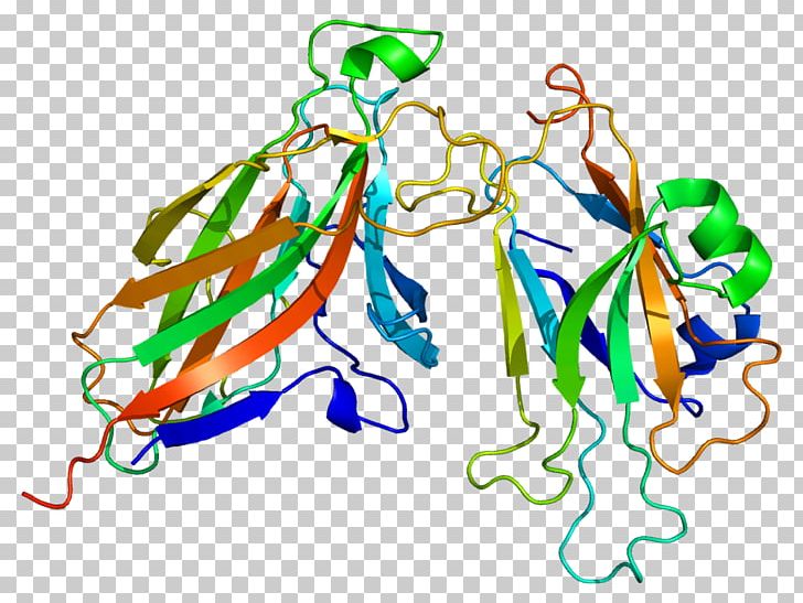 Ephrin A5 Ephrin B2 Protein Glycosylphosphatidylinositol PNG, Clipart, Angiogenesis, Area, Art, Artwork, Axon Free PNG Download