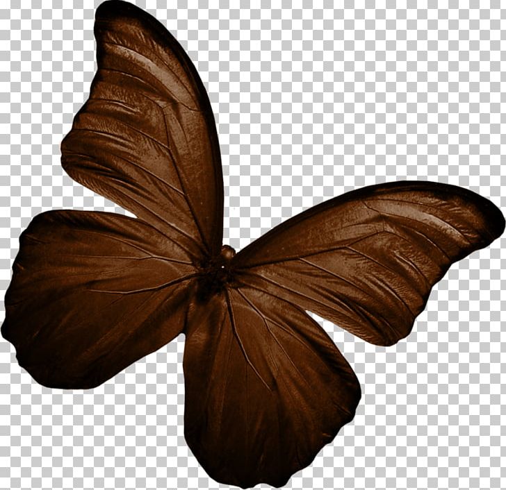 Butterfly Stock Photography Color PNG, Clipart, Animaatio, Arthropod, Blue, Brown, Brush Footed Butterfly Free PNG Download