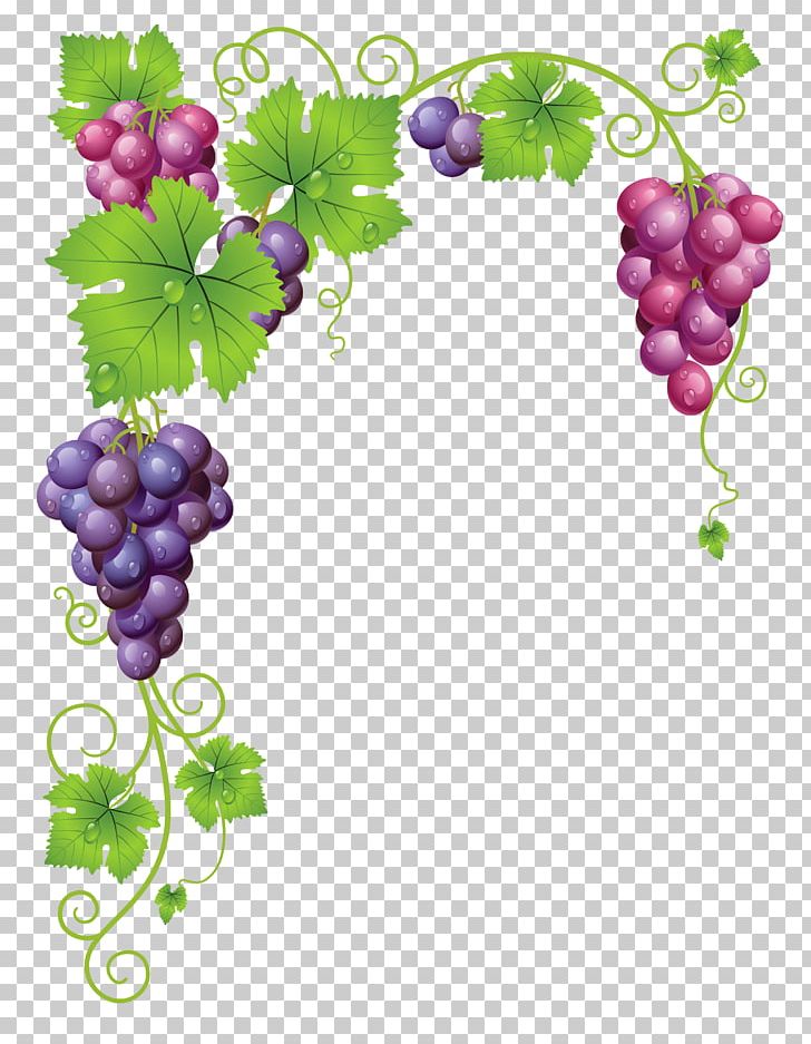 Common Grape Vine Wine PNG, Clipart, Clip , Common Grape Vine, Flowering Plant, Food, Food Drinks Free PNG Download