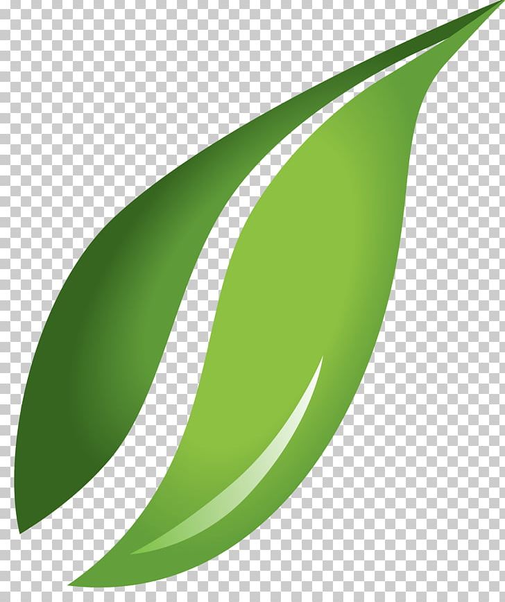 Computer Icons Scalable Graphics Leaf PNG, Clipart, Computer Icons, Download, Free Content, Grass, Green Free PNG Download