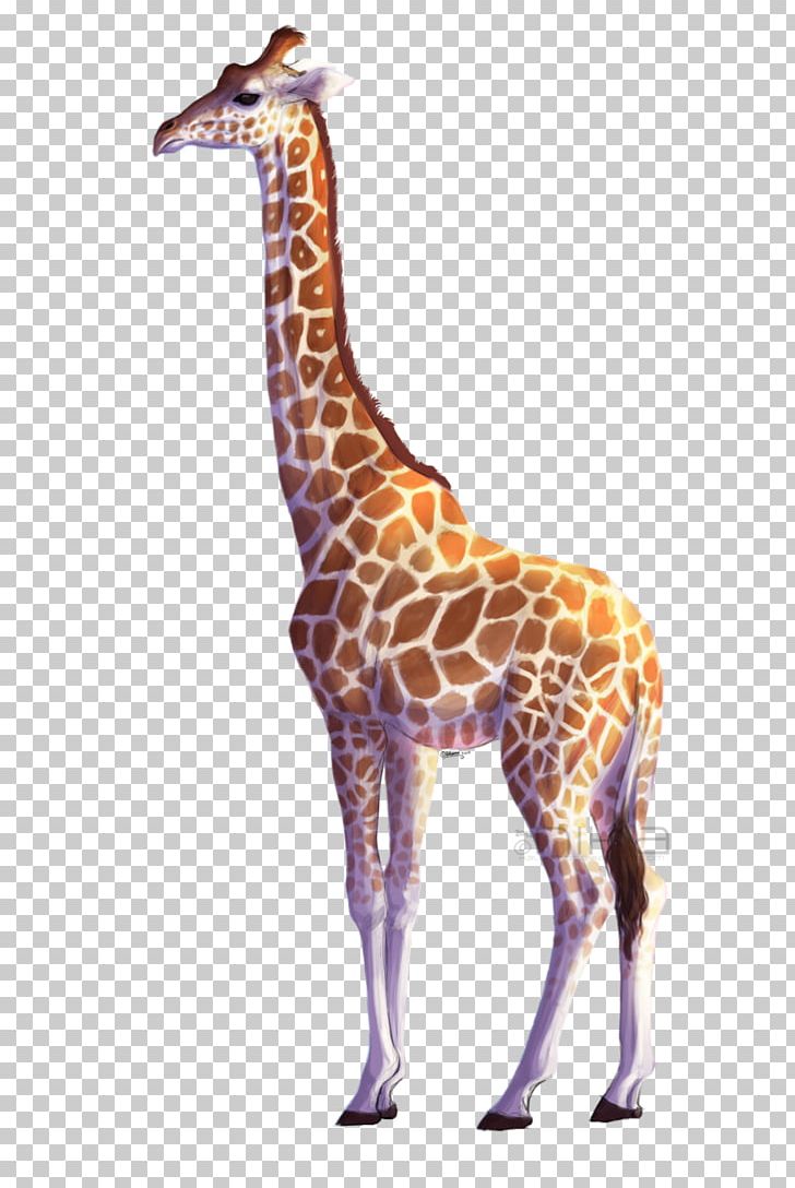 Giraffe PNG, Clipart, All About Giraffes, Animals, Digital Image, Drawing, Encapsulated Postscript Free PNG Download