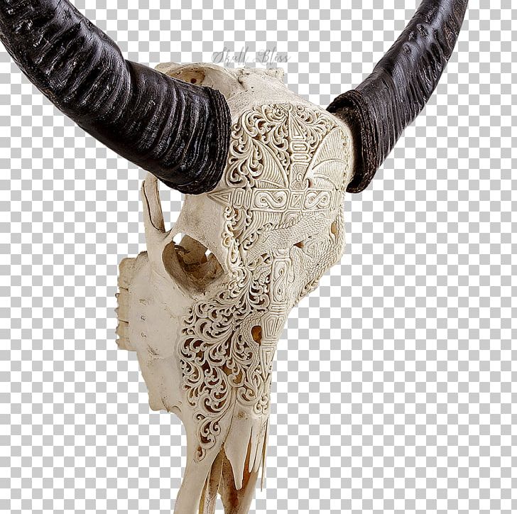 Horn Animal Skulls Antler Bone PNG, Clipart, African Elephant, Animal, Animal Product, Animal Skulls, Antler Free PNG Download
