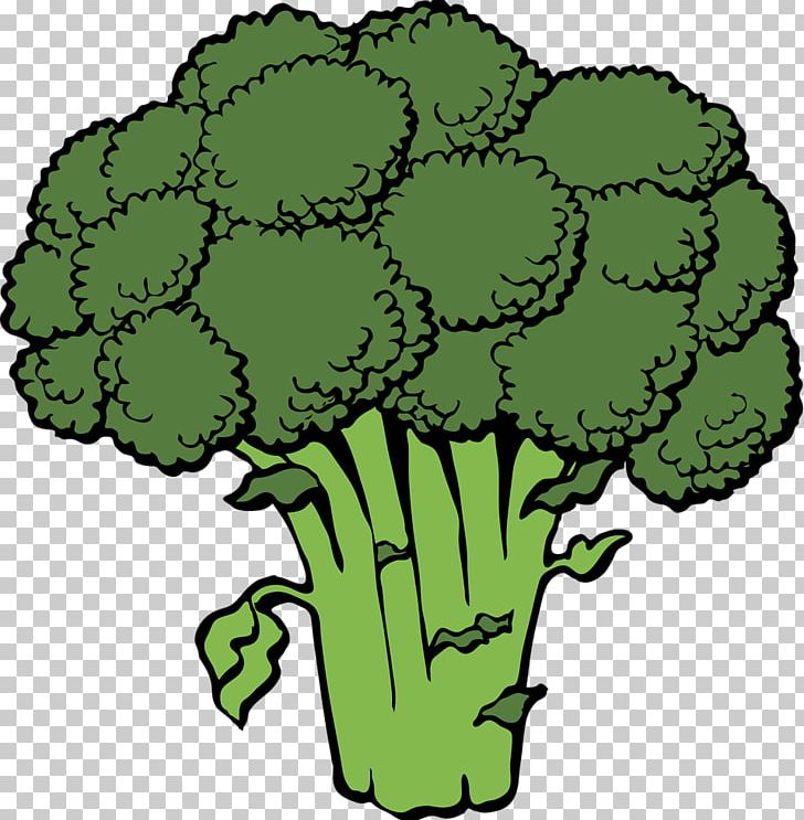 Broccoli Vegetable PNG, Clipart, Broccoli, Cauliflower, Celery, Download, Flower Free PNG Download