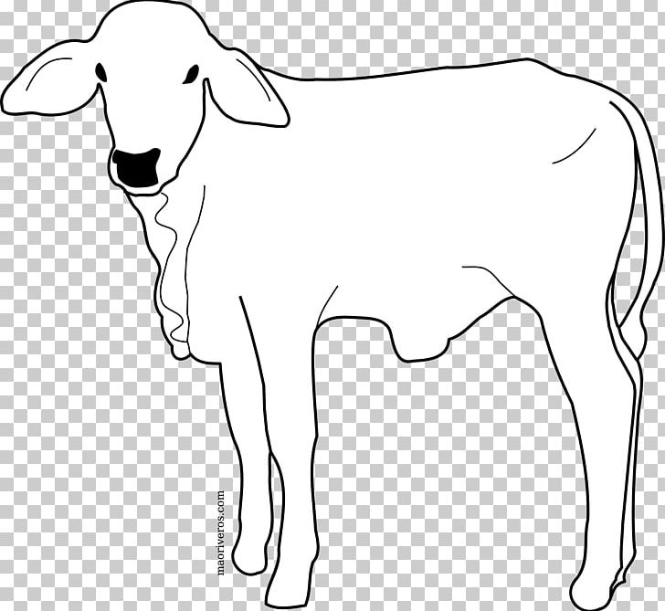 Cattle Line Art Drawing PNG, Clipart, Animal, Animal Figure, Animals, Area, Art Free PNG Download