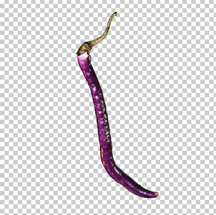 Eggplant Computer File PNG, Clipart, Body Jewelry, Download, Eggplant, Encapsulated Postscript, Euclidean Vector Free PNG Download