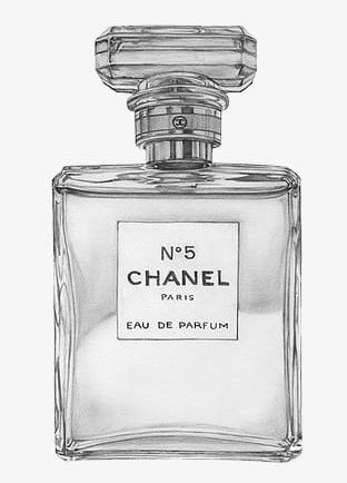 Hand-painted Bottle Of Chanel Perfume PNG, Clipart, Black, Black And White, Bottle, Bottle Clipart, Chanel Free PNG Download