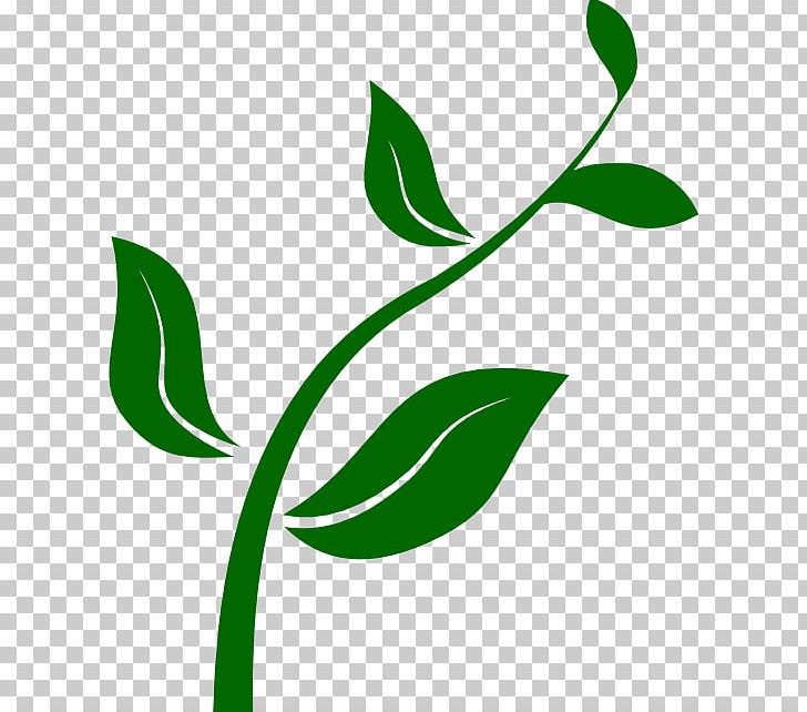Houseplant Computer Icons PNG, Clipart, Artwork, Branch, Cactaceae, Clip Art, Computer Icons Free PNG Download