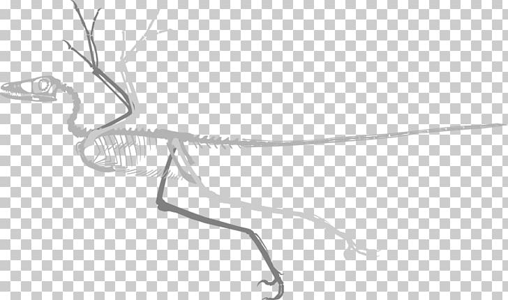 Reptile Line Art Drawing /m/02csf PNG, Clipart, Artwork, Black And White, Chesapeake Blue Crab, Drawing, Hardware Accessory Free PNG Download
