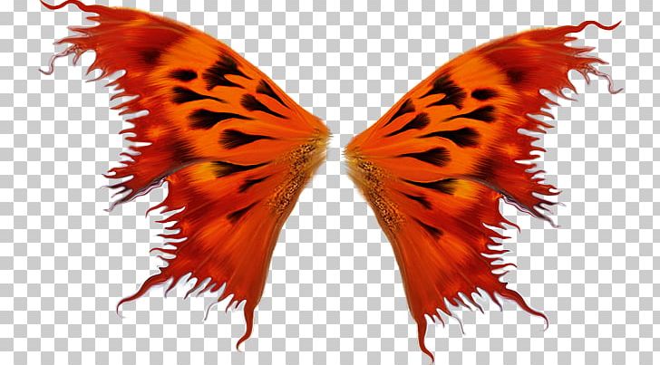 Butterfly Bird Wing Insect PNG, Clipart, Angels Wings, Angel Wing, Angel Wings, Bird, Blog Free PNG Download