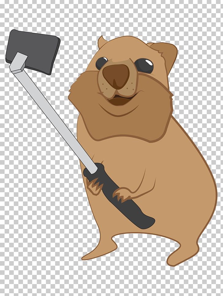 Dog Beaver Marsupial Cartoon PNG, Clipart, Animals, Animated, Bear, Beaver, Canidae Free PNG Download
