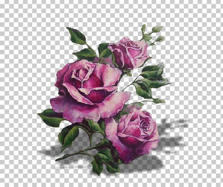 Purple Lavender Lilac Garden Roses Flower PNG, Clipart, Art, Artificial Flower, Blue, Centifolia Roses, Color Free PNG Download