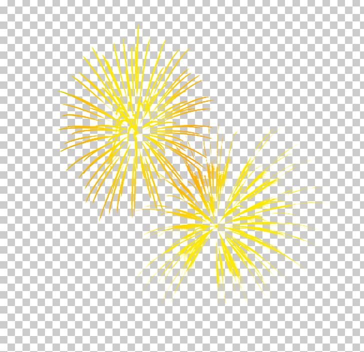 Pyrotechnics Fireworks Firecracker PNG, Clipart, Adobe Fireworks, Circle, Creative, Download, Firework Free PNG Download