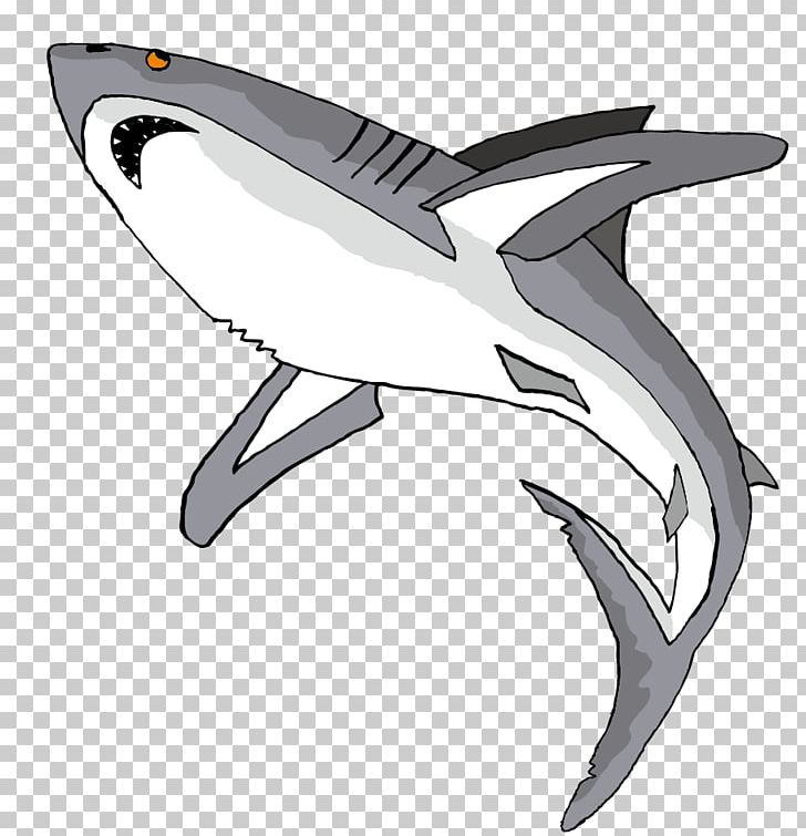 Shark Fish Drawing PNG, Clipart, Animal, Animals, Great, Great, Great White Shark Free PNG Download