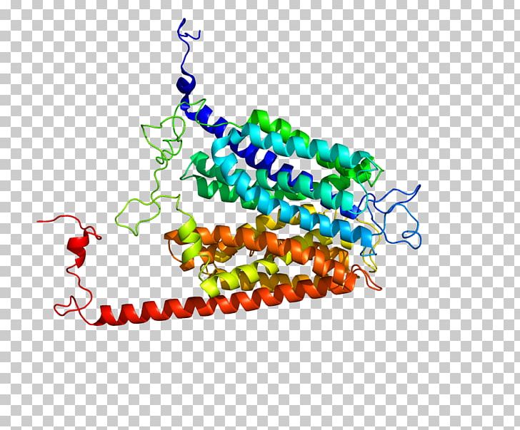 Glucose Transporter SLC2A7 Membrane Transport Protein GLUT4 PNG, Clipart, 2 A, Area, Glucose Transporter, Graphic Design, Line Free PNG Download