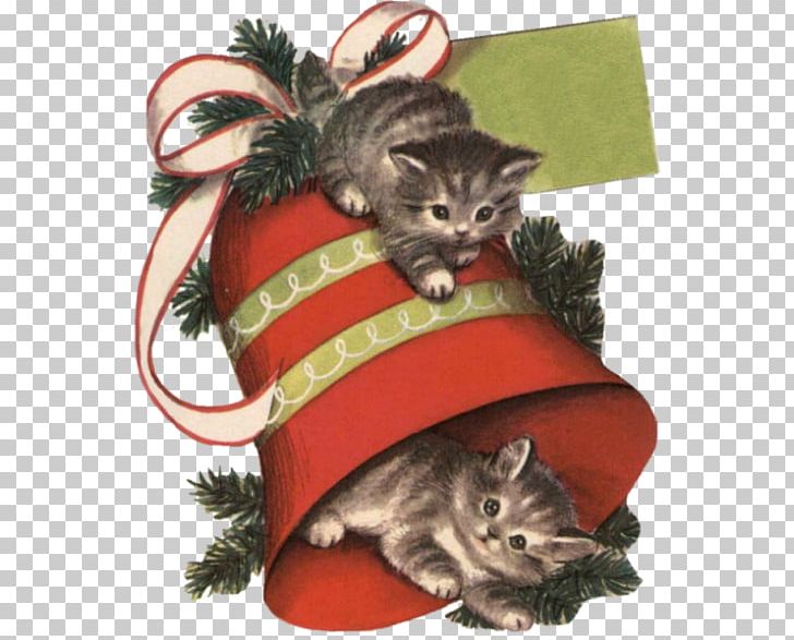 Kitten Whiskers Christmas Ornament PNG, Clipart, Animals, Carnivoran, Cat, Cat Like Mammal, Chaton Free PNG Download
