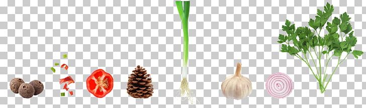 Vegetable Garlic Capsicum Annuum Onion PNG, Clipart, Brand, Capsicum Annuum, Celery, Chili, Commodity Free PNG Download