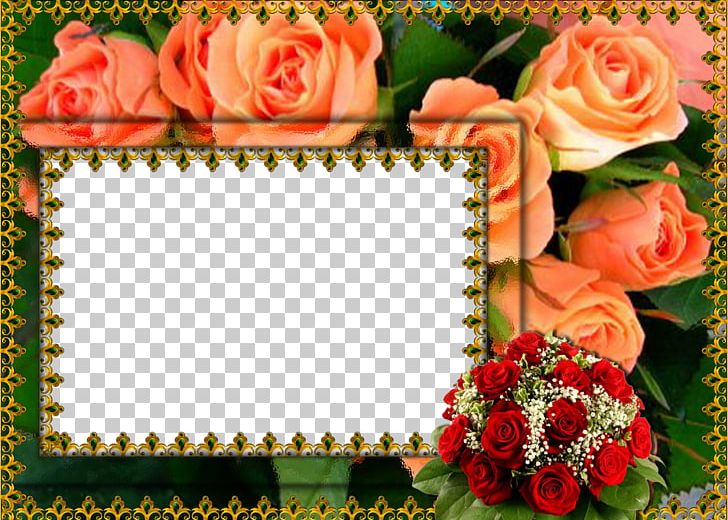 Flower Frames Film Frame PNG, Clipart, Animation, Cut Flowers, Desktop Wallpaper, Download, Film Frame Free PNG Download