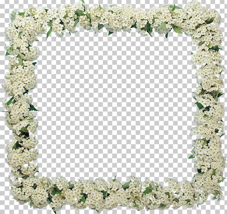 Frames Flower GIMP Garden Roses PNG, Clipart, Dia, Digital Photo Frame, Floral Design, Flower, Frangipani Free PNG Download