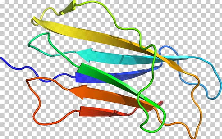 Line Point PNG, Clipart, Art, Line, Organism, Point, Processivity Free PNG Download
