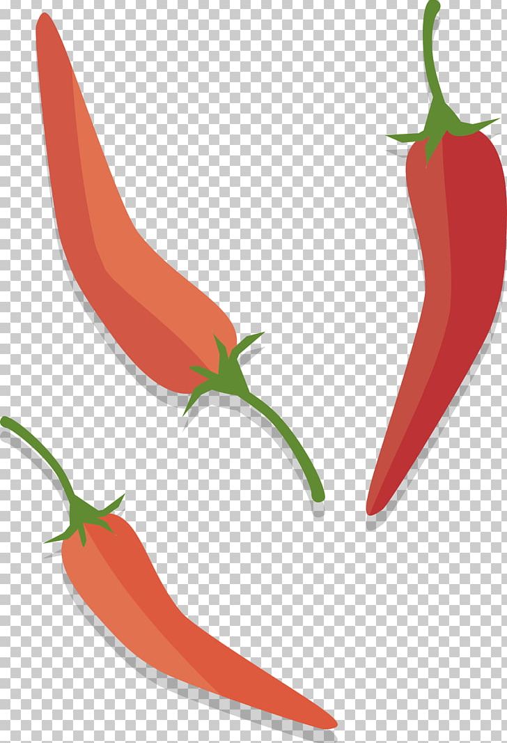 Tabasco Pepper Birds Eye Chili Serrano Pepper Cayenne Pepper PNG, Clipart, Accessories, Bell Peppers, Birds Eye Chili, Black Pepper, Capsicum Annuum Free PNG Download