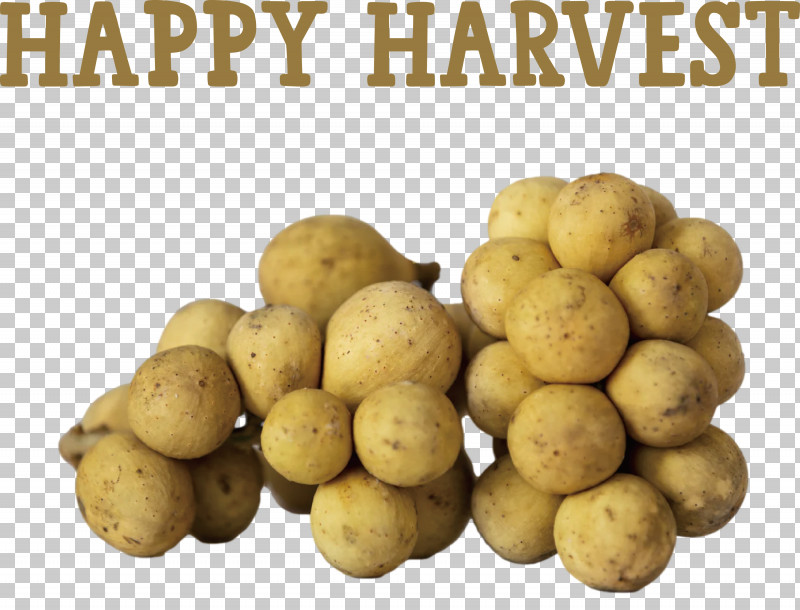 Happy Harvest Harvest Time PNG, Clipart, Cheesy Potatoes, Cooking, Happy Harvest, Harvest Time, Ingredient Free PNG Download
