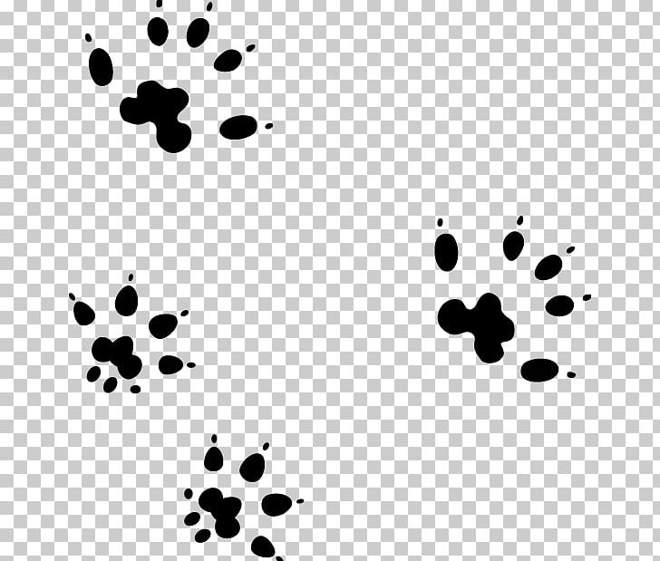 Computer Mouse Paw Animal Track Mouse Mats PNG, Clipart, Animal, Animal Track, Black, Circle, Computer Free PNG Download