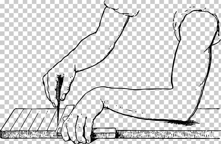 Line Drawing Perpendicular PNG, Clipart, Abdomen, Angle, Arm, Carnivoran, Cartoon Free PNG Download