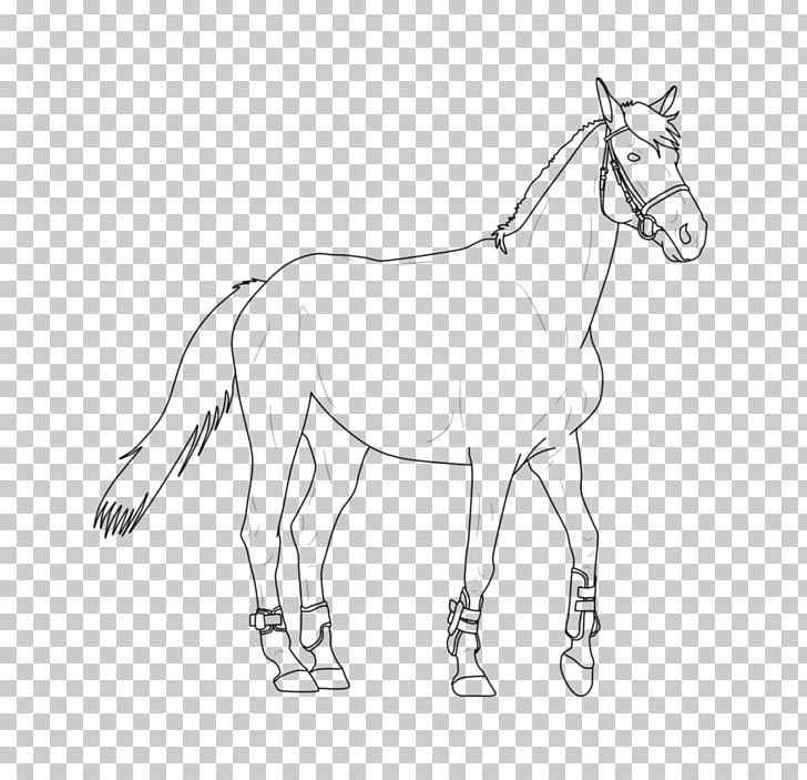 Mule Foal Stallion Bridle Colt PNG, Clipart, Arm, Artwork, Black And White, Bridle, Colt Free PNG Download