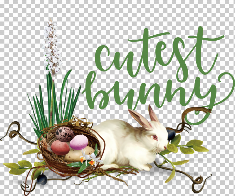 Cutest Bunny Happy Easter Easter Day PNG, Clipart, Basket, Chocolate Bunny, Christmas Day, Cutest Bunny, Easter Basket Free PNG Download