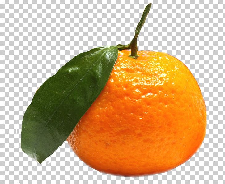Clementine Fruit Tangerine Food Mandarin Orange PNG, Clipart, Auglis, Bitter Orange, Calamondin, Chenpi, Citric Acid Free PNG Download