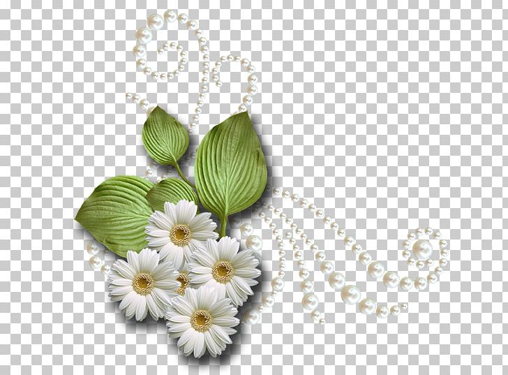 Cut Flowers Jewellery PNG, Clipart, Cut Flowers, Flower, Jewellery, Miscellaneous, Papatya Free PNG Download