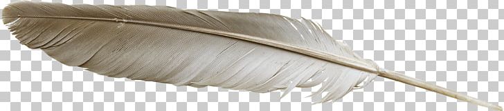 Feather Household Cleaning Supply PNG, Clipart, Animals, Beautiful, Beautiful Feathers, Feather, Feather Material Free PNG Download