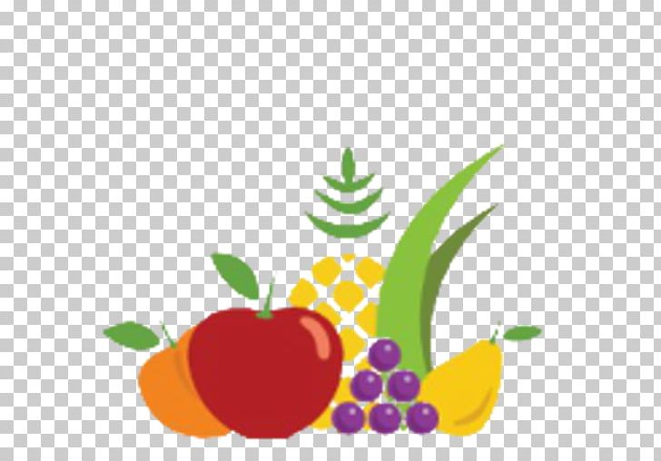 Smoothie Juice Fruit Nutrition Vegetable PNG, Clipart, Flower, Food, Fruit, Fruit Nut, Health Free PNG Download