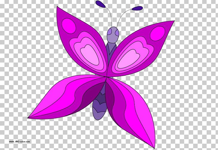 Butterfly Drawing Raster Graphics Bitmap PNG, Clipart, Bitmap, Brush Footed Butterfly, Butterfly Clipart, Color, Desktop Wallpaper Free PNG Download