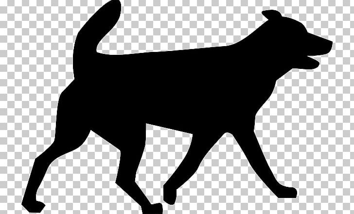 Old German Shepherd Dog Shiloh Shepherd Dog Puppy East-European Shepherd PNG, Clipart, Black, Black And White, Carnivoran, Companion Dog, Computer Icons Free PNG Download