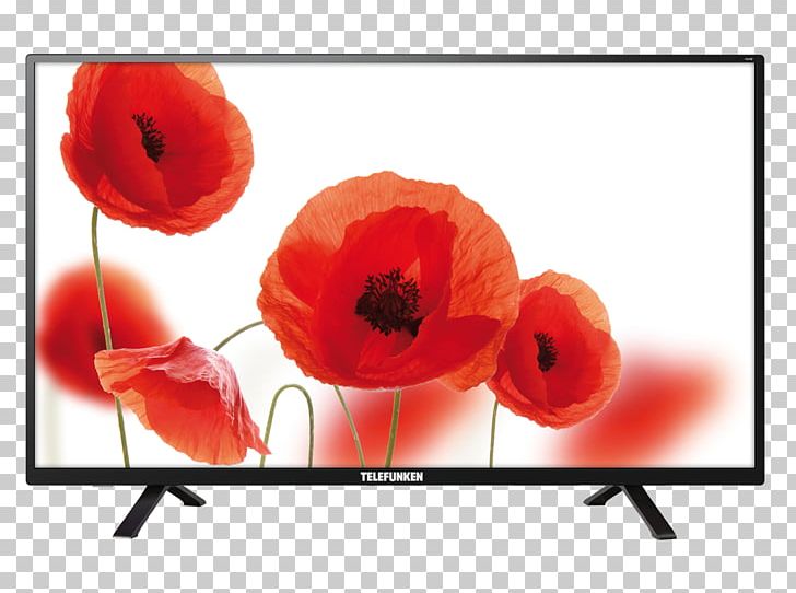 Telefunken High-definition Television 1080p LED-backlit LCD PNG, Clipart, 720p, 1080p, Coquelicot, Digital Video Broadcasting, Display Device Free PNG Download