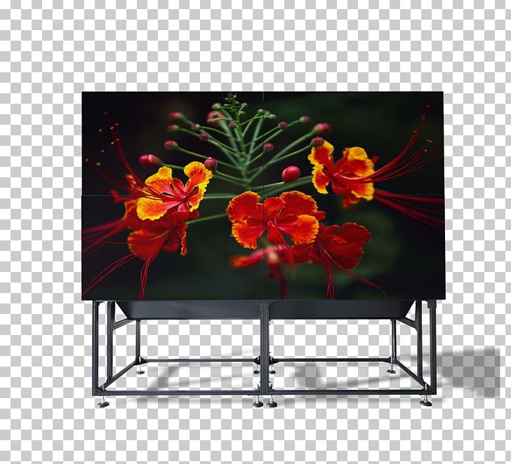 Video Wall Barco Rear-projection Television Digital Light Processing Multimedia Projectors PNG, Clipart, 169, Artificial Flower, Barco, Computer Monitors, Contrast Free PNG Download